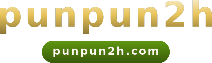punpun2h logo